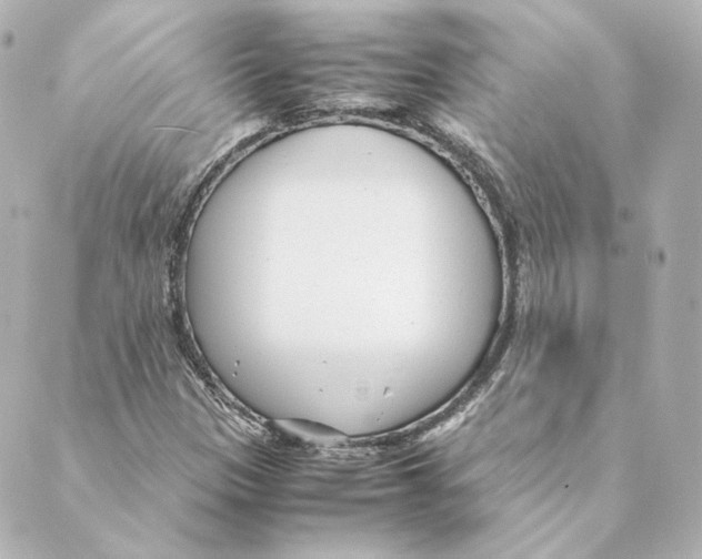 X0000088581305200706221306