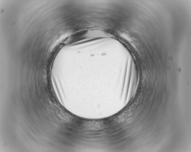 X0000088581307200706221306