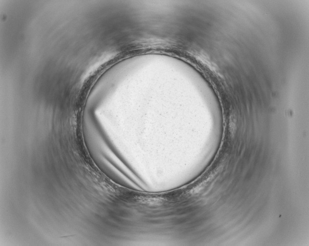 X0000088581309200706221306