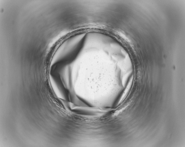 X0000088581310200706221306