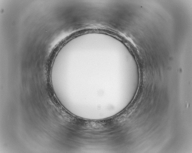 X0000088581311200706221306