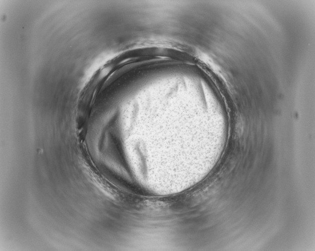 X0000088581312200706221306