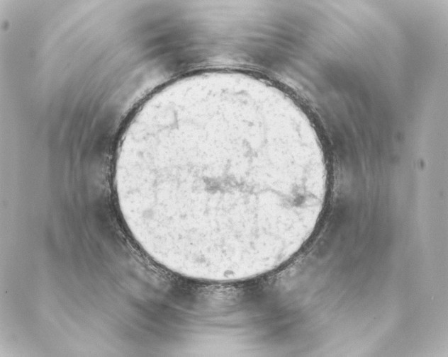 X0000088581314200706221306