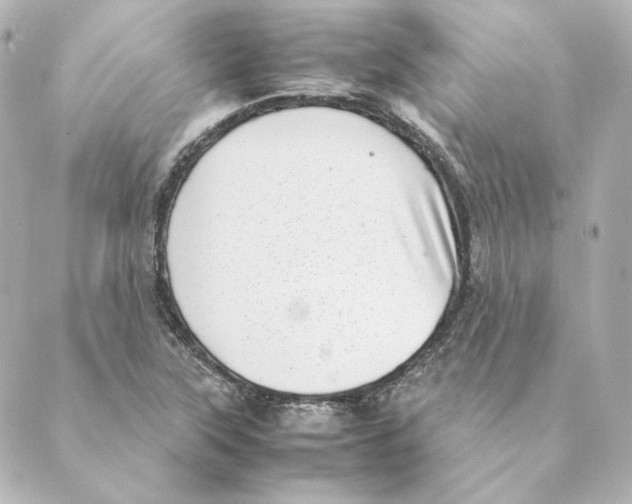 X0000088581315200706221306