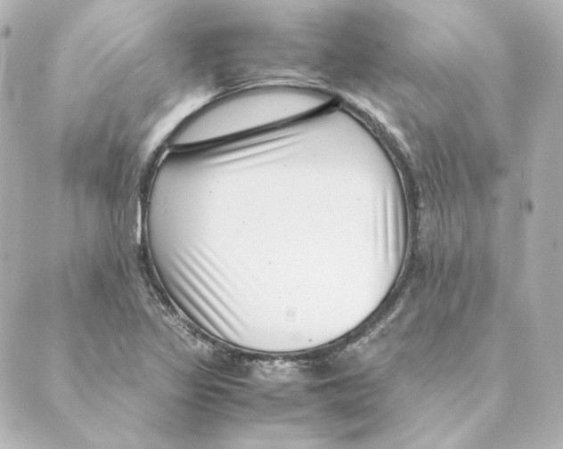 X0000088581317200706221306