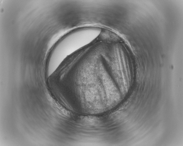 X0000088581319200706221306