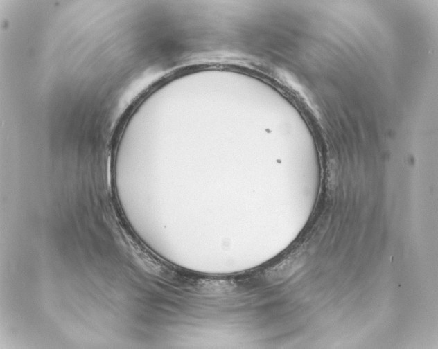 X0000088581320200706221306