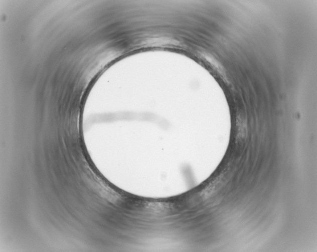 X0000088581322200706221306