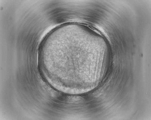 X0000088581323200706221306