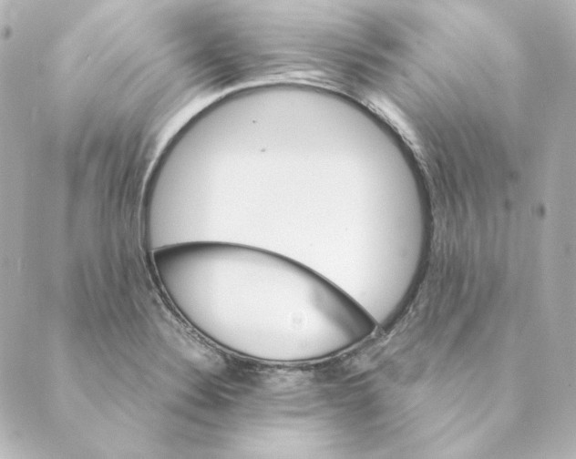 X0000088581324200706221306