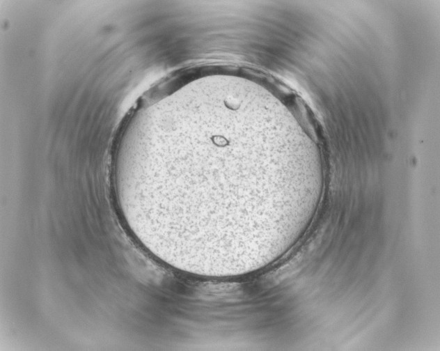 X0000088581325200706221306