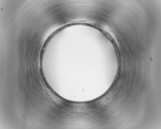 X0000088581328200706221306