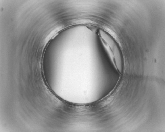 X0000088581330200706221306