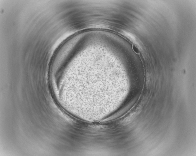 X0000088581331200706221306