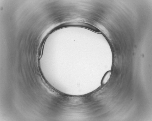 X0000088581332200706221306