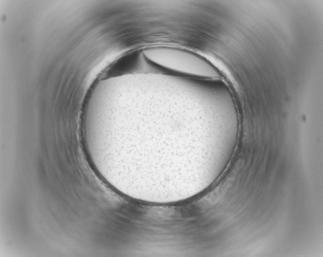 X0000088581333200706221306