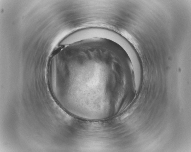 X0000088581334200706221306