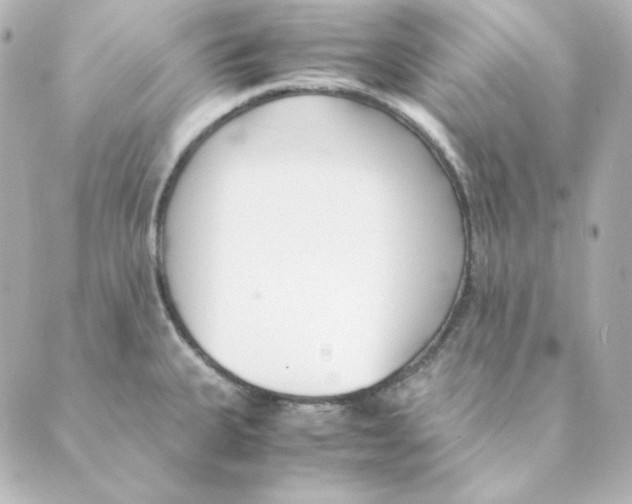 X0000088581335200706221306