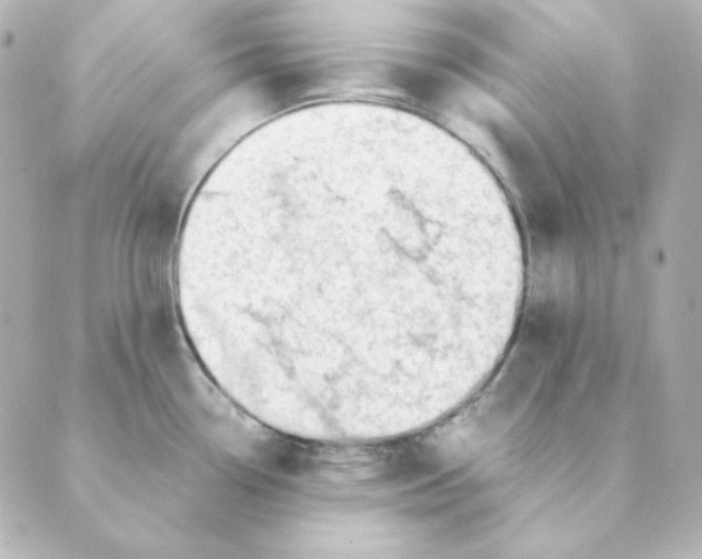 X0000088581338200706221307