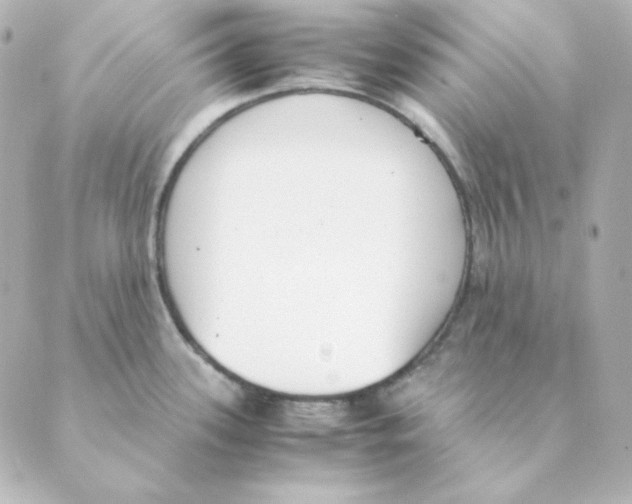 X0000088581339200706221307