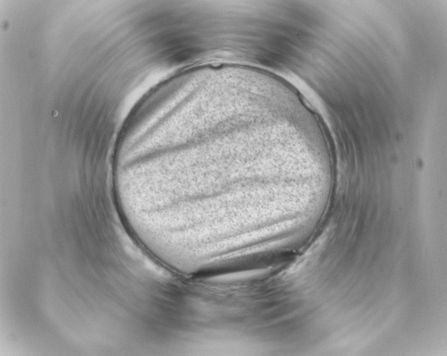 X0000088581341200706221307