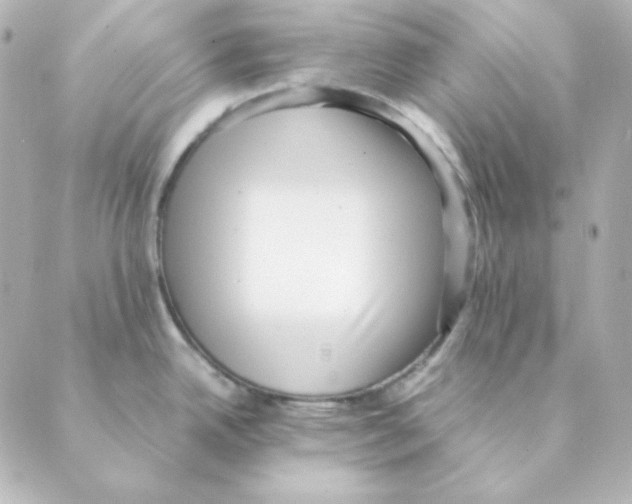 X0000088581342200706221307