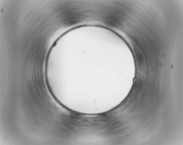 X0000088581343200706221307