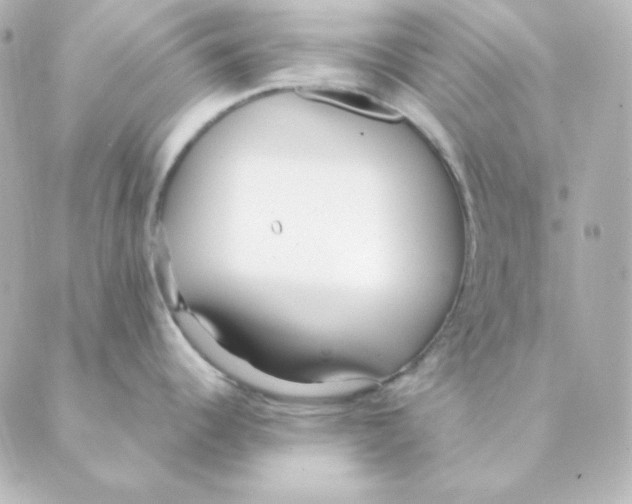 X0000088581344200706221307