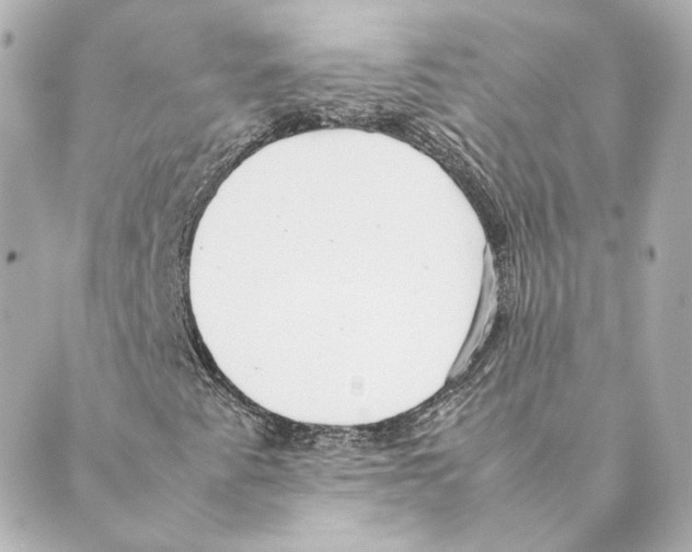 X0000088581345200706221306