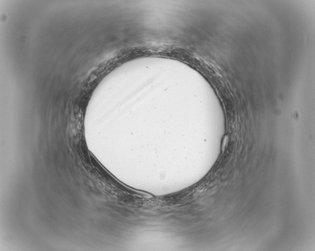 X0000088581349200706221306