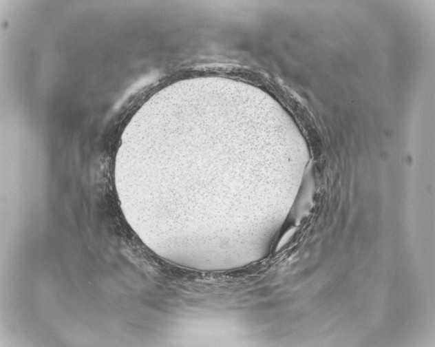 X0000088581351200706221306