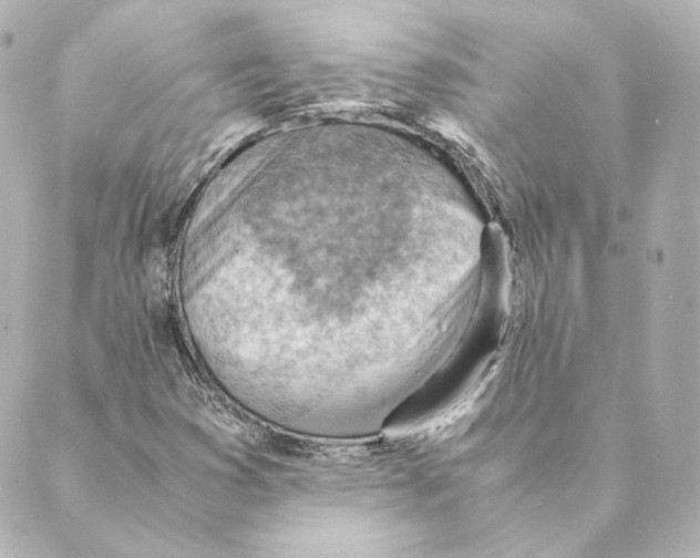 X0000088581353200706221306