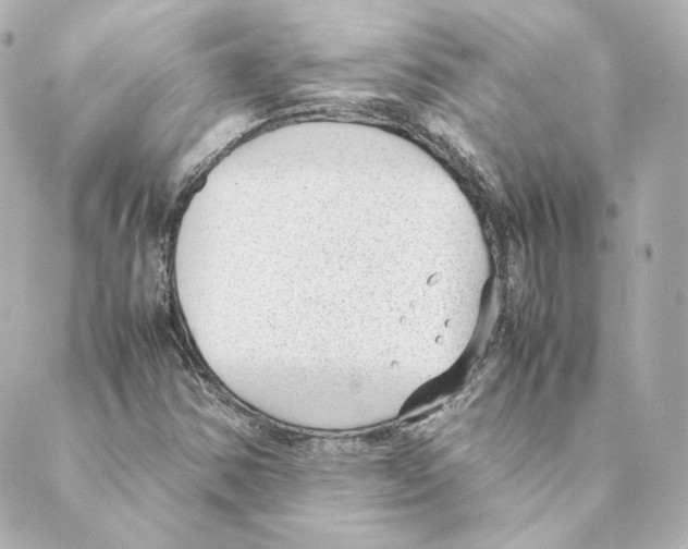 X0000088581354200706221306