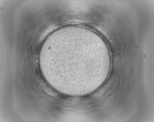 X0000088581355200706221306