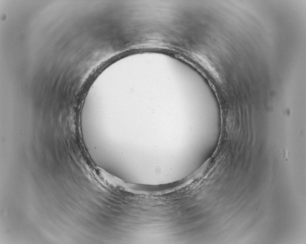 X0000088581356200706221306