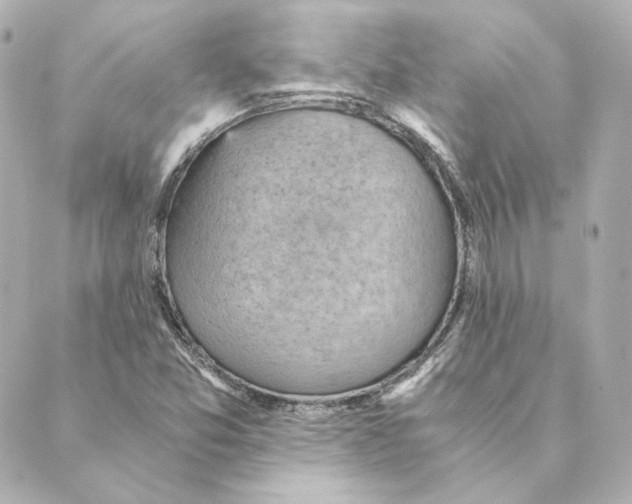 X0000088581357200706221306