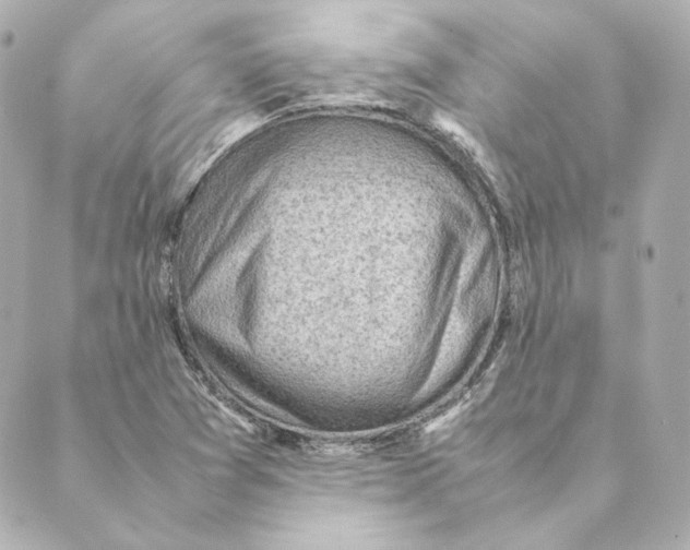 X0000088581361200706221306