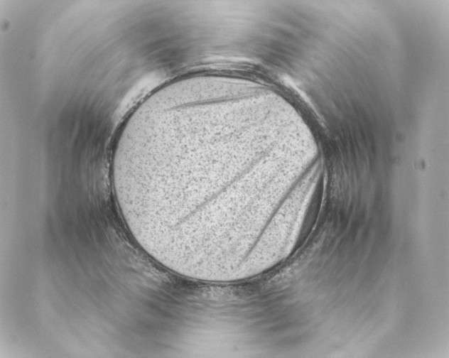 X0000088581362200706221306