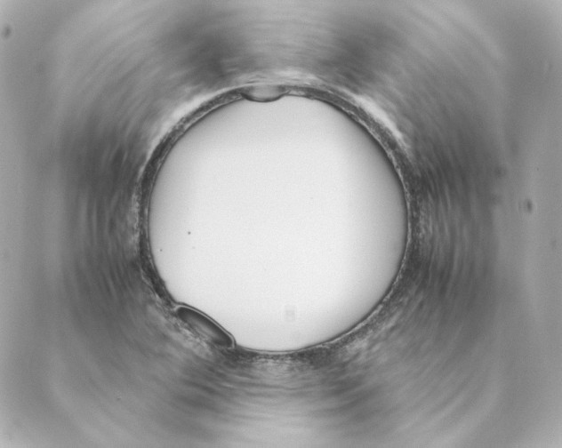 X0000088581364200706221306