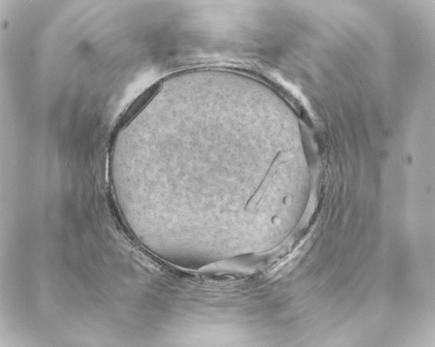 X0000088581365200706221306