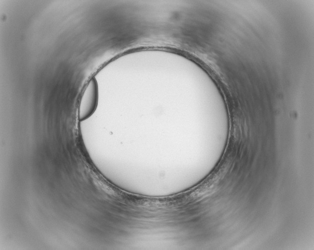 X0000088581366200706221306