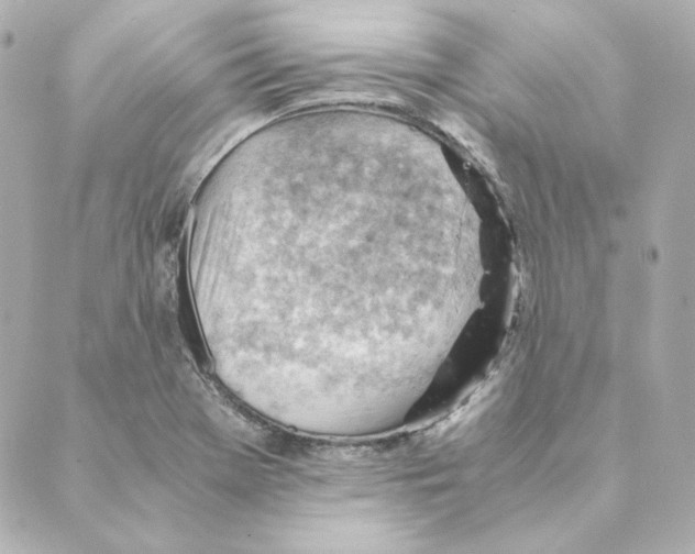 X0000088581369200706221305