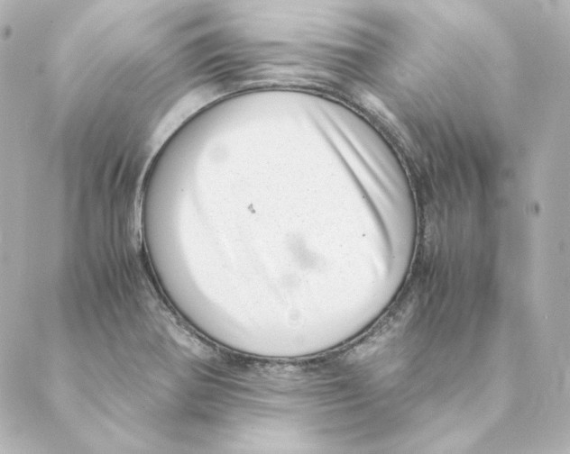 X0000088581370200706221305