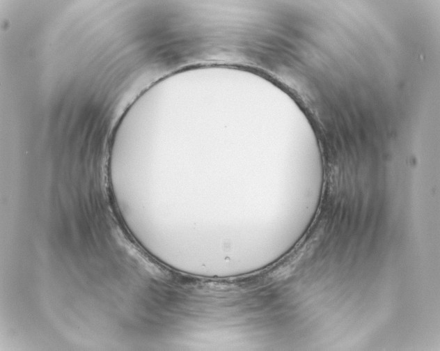 X0000088581374200706221305