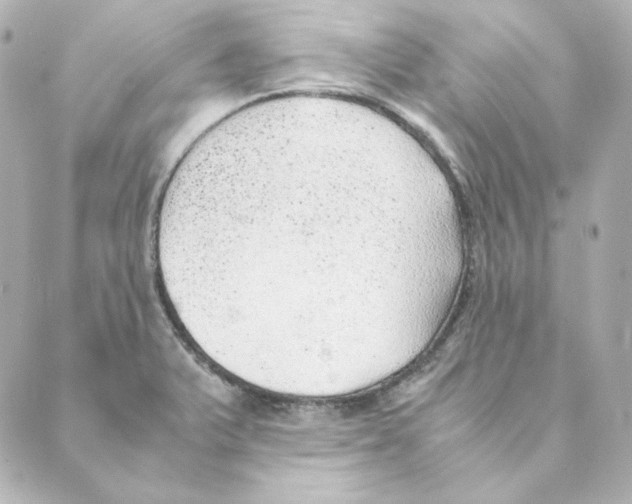 X0000088581375200706221305