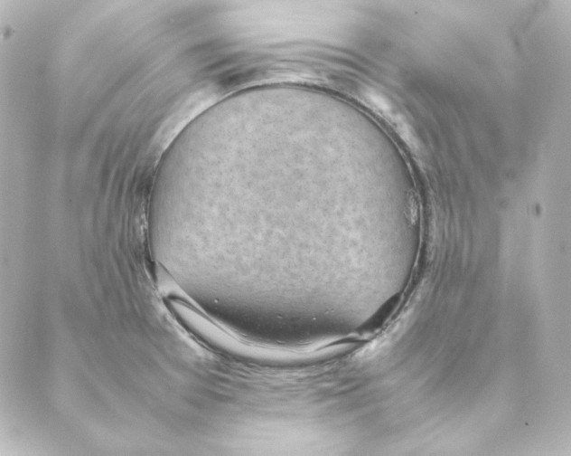 X0000088581377200706221305