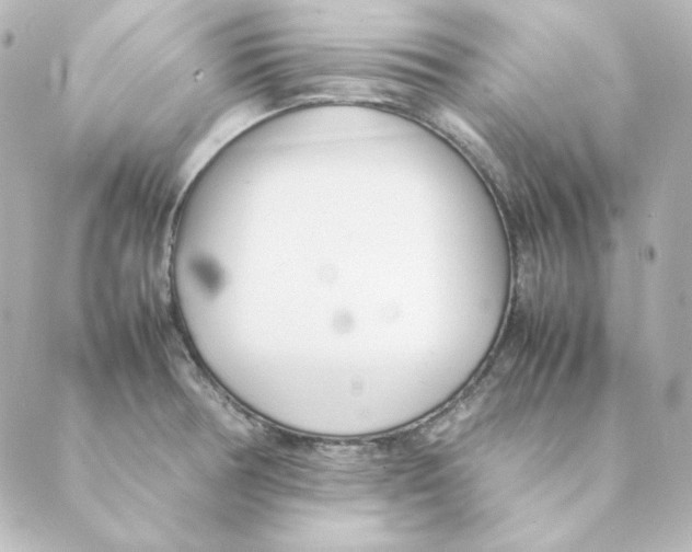 X0000088581378200706221305