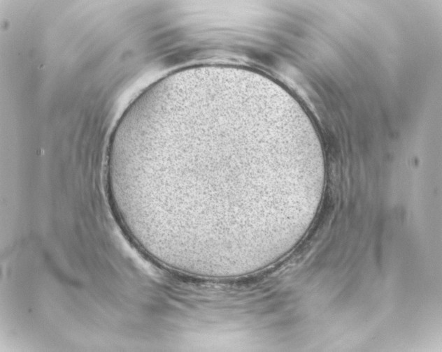 X0000088581379200706221305