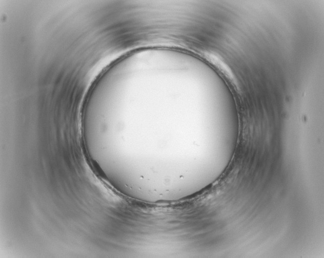 X0000088581380200706221305