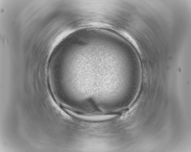 X0000088581381200706221305